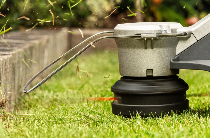 Plant Protection Plant Protection